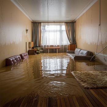 Dallas Water Damage Restoration Pros